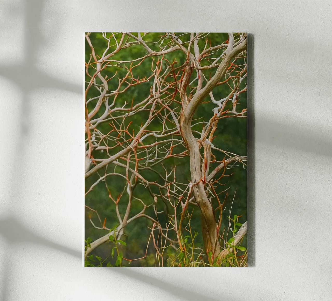 dry tree branches canvas by PASMING