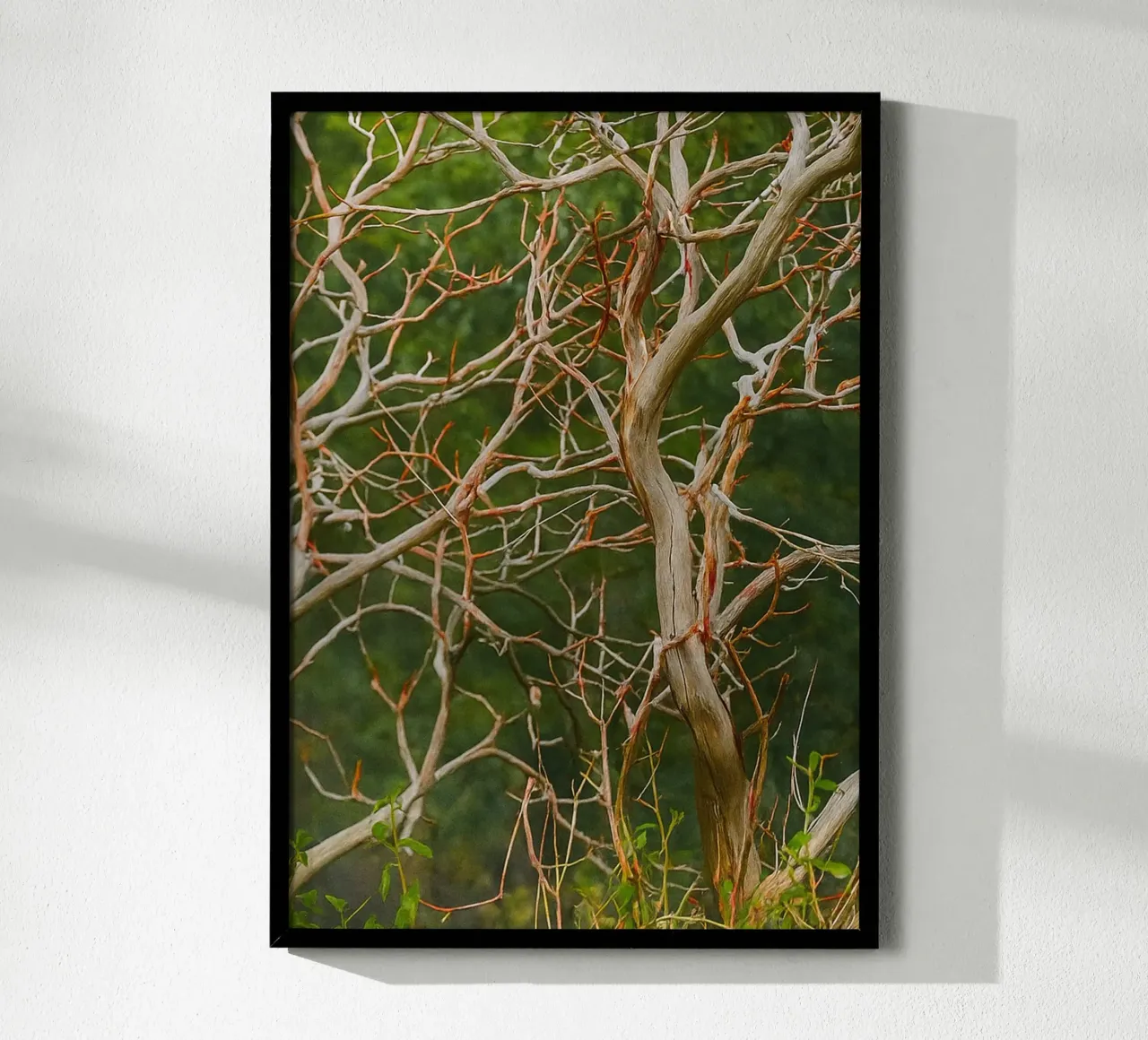 rami di alberi secchi poster da PASMING