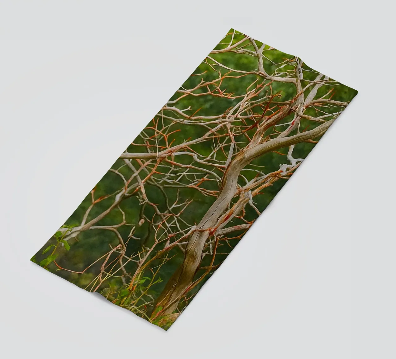 rami di alberi secchi telo mare da PASMING