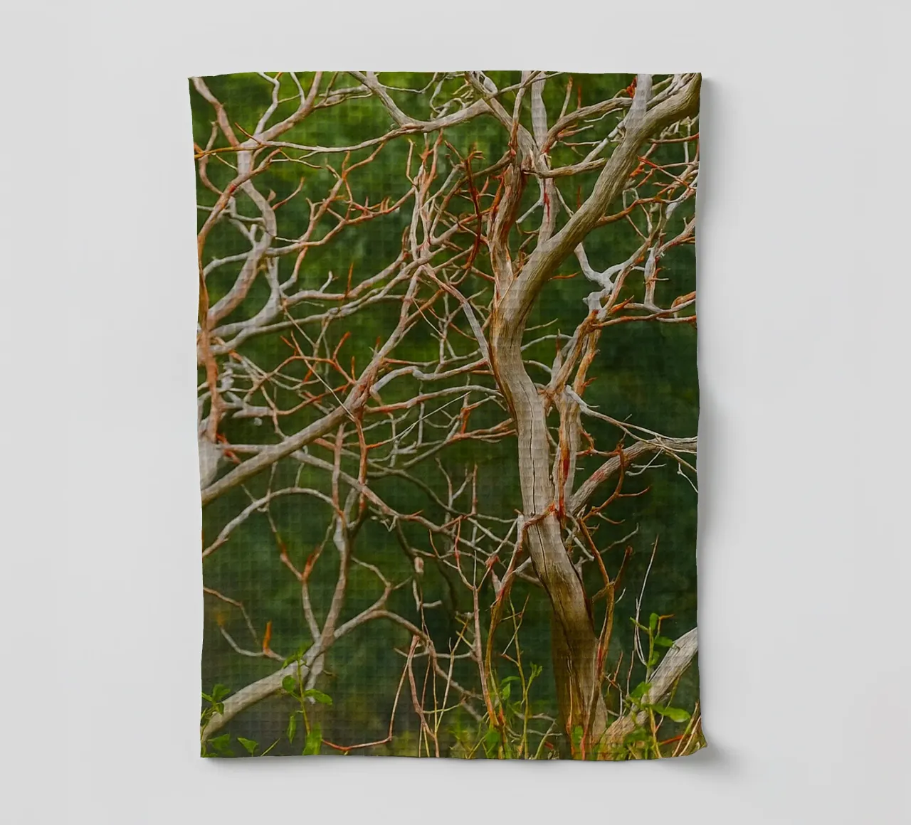 rami di alberi secchi canovaccio da cucina da PASMING