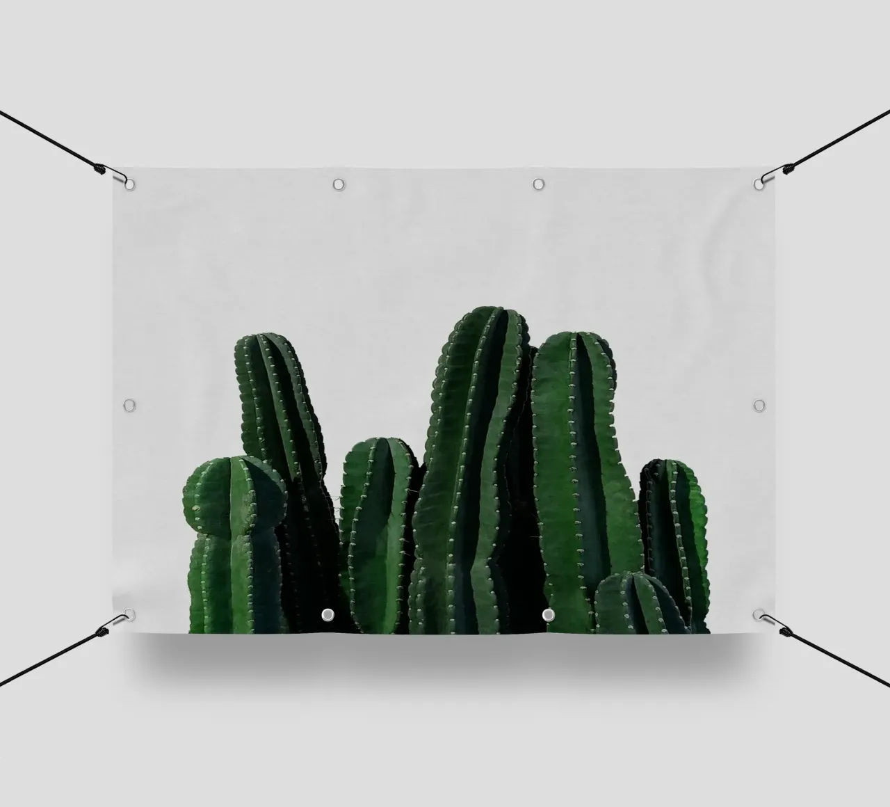 Cactus I telo in pvc da Orara Studio
