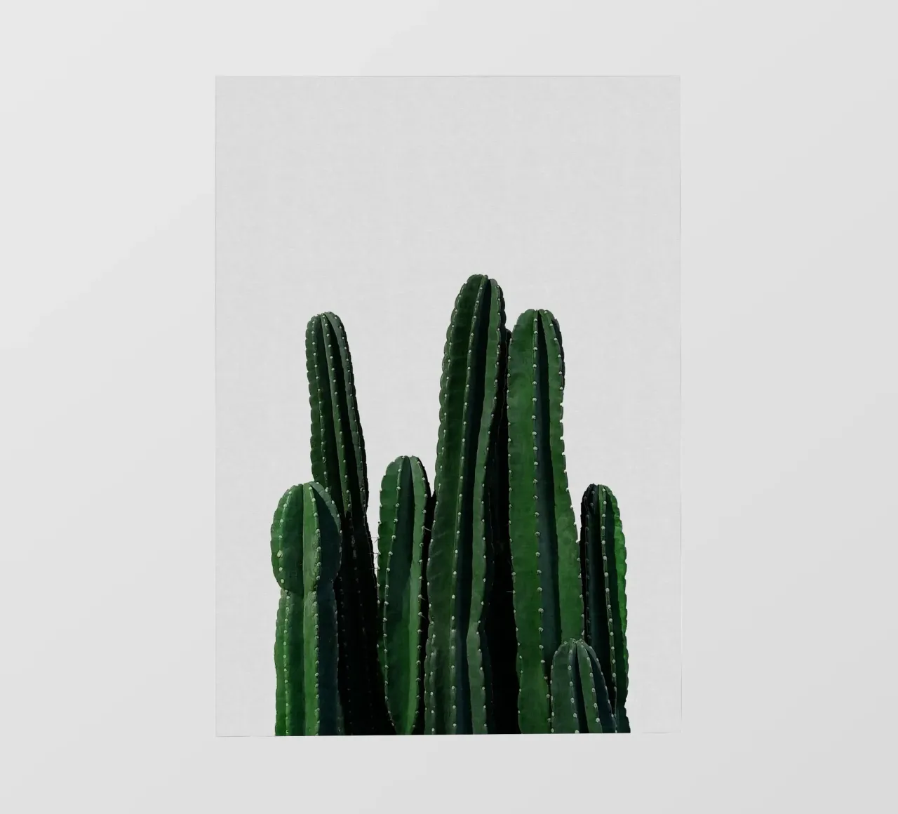 Cactus I telo in pvc da Orara Studio