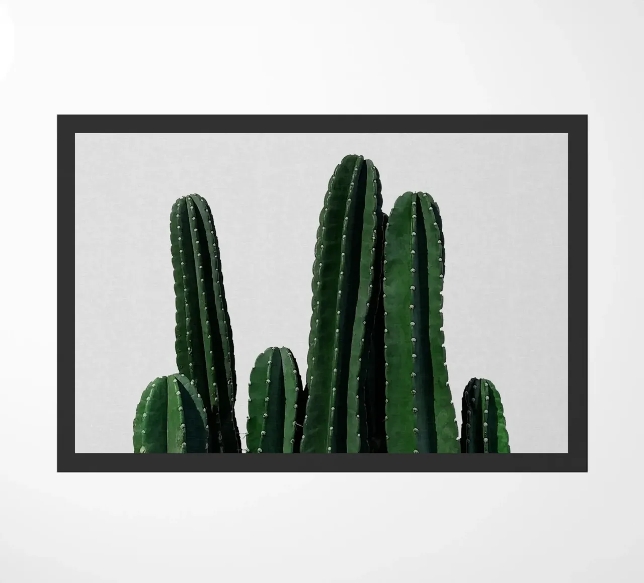 Cactus I zerbino da Orara Studio