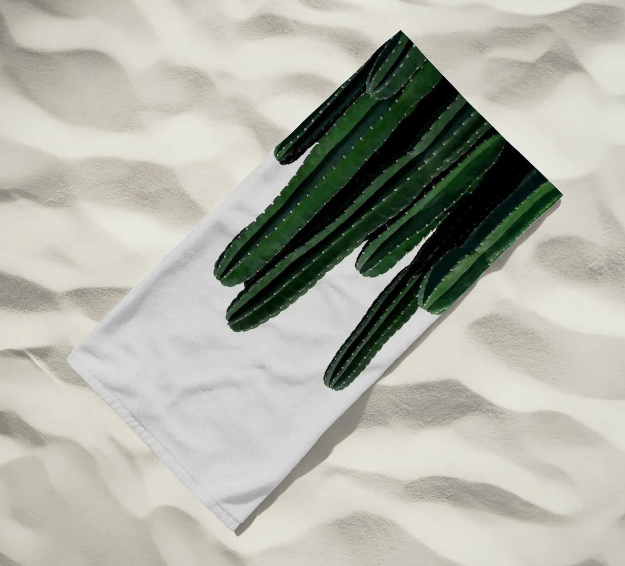 Cactus I telo mare da Orara Studio