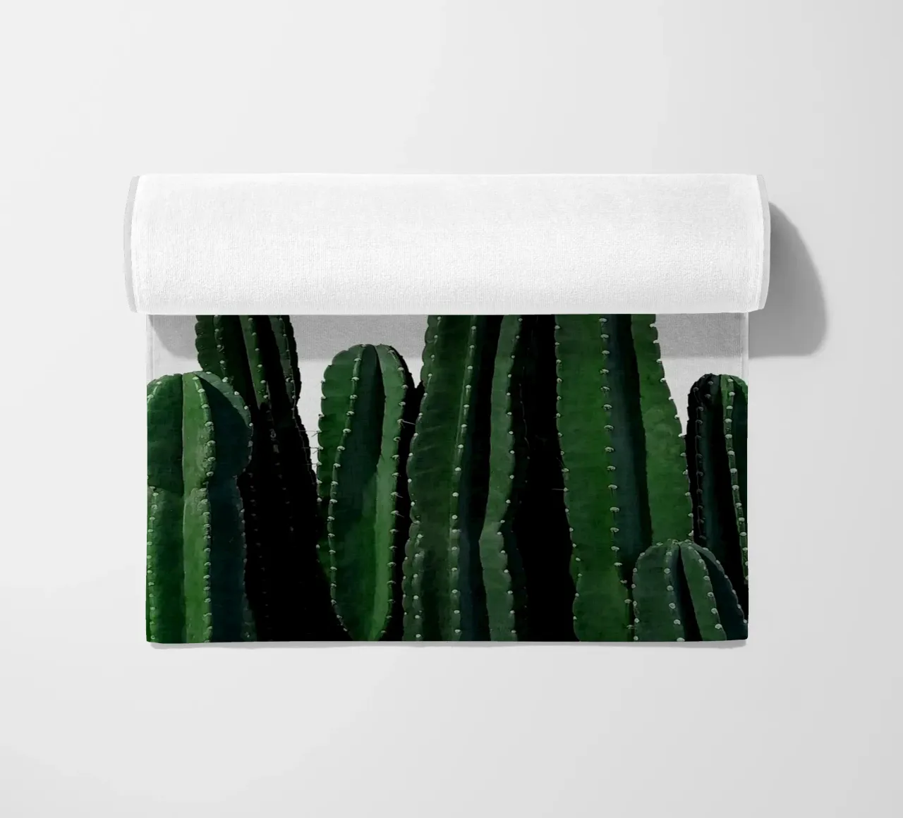 Cactus I telo mare da Orara Studio