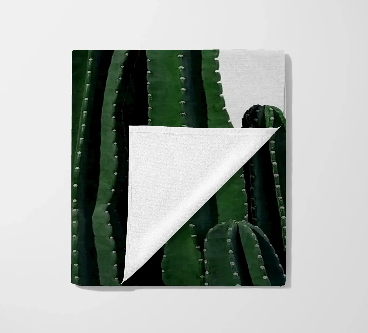 Cactus I telo mare da Orara Studio