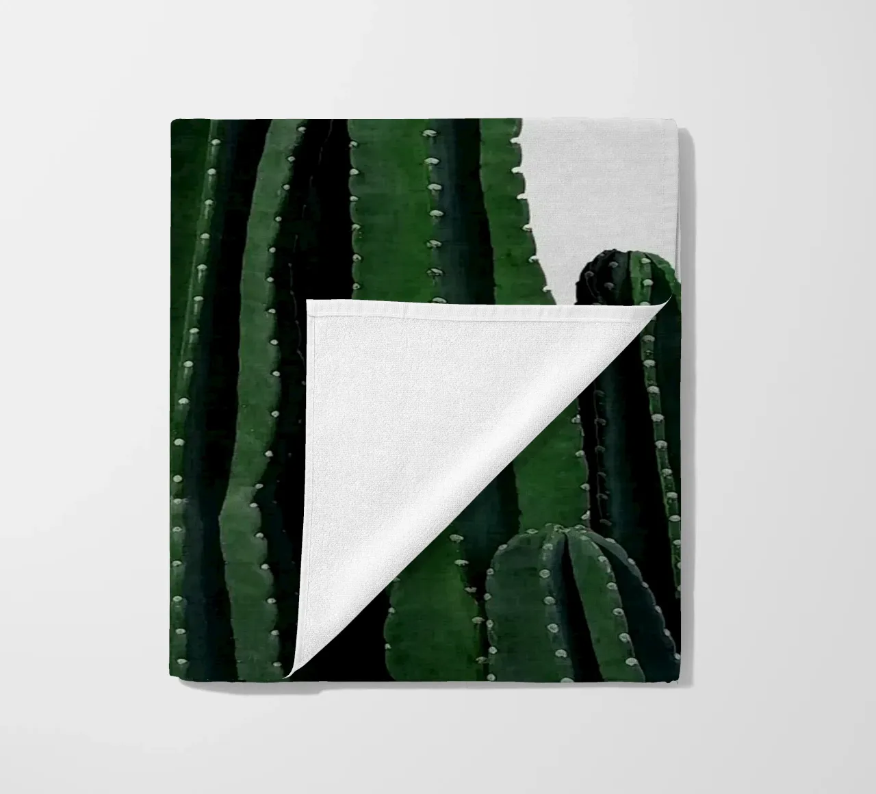 Cactus I telo mare da Orara Studio