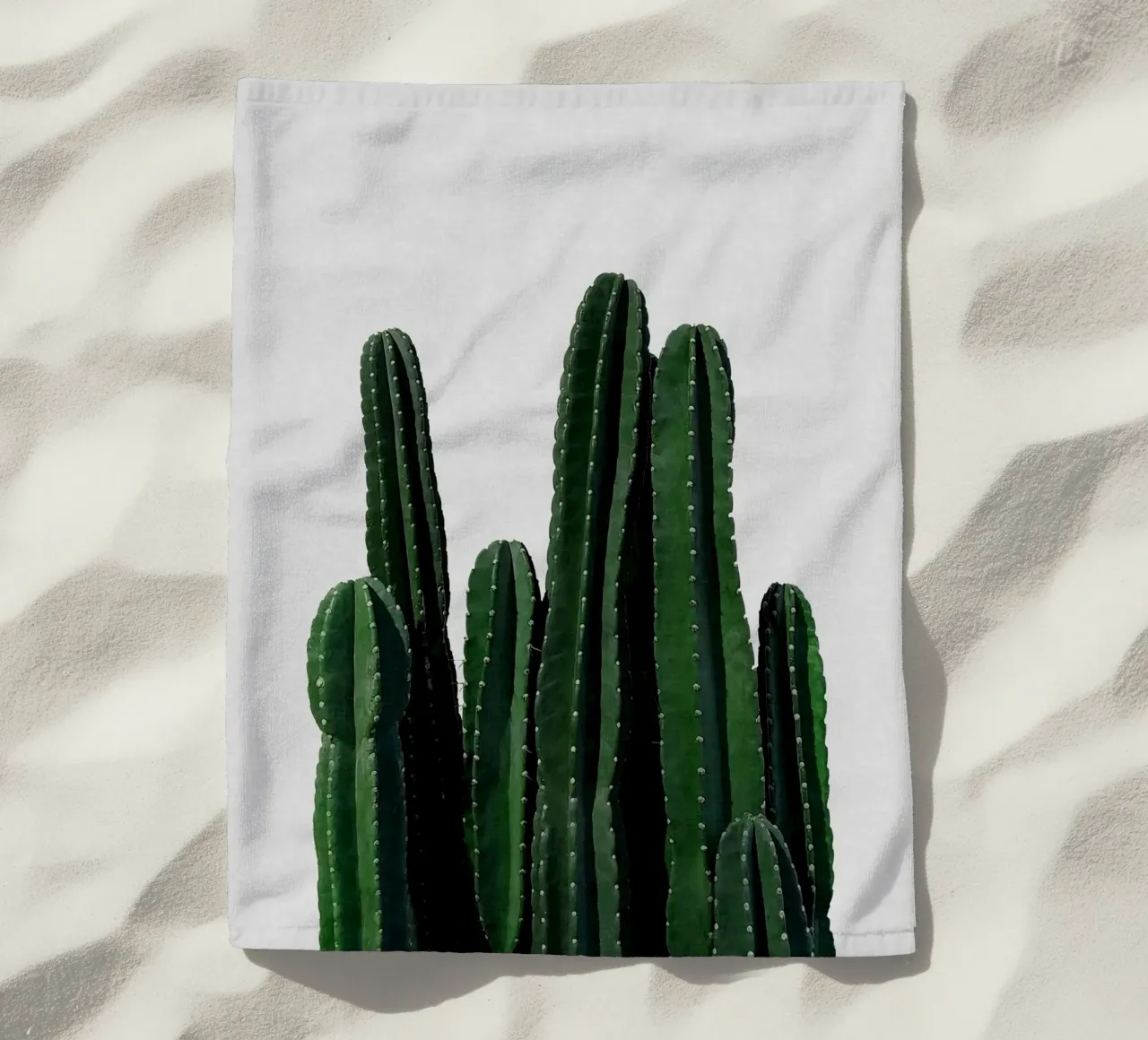 Cactus I telo mare da Orara Studio