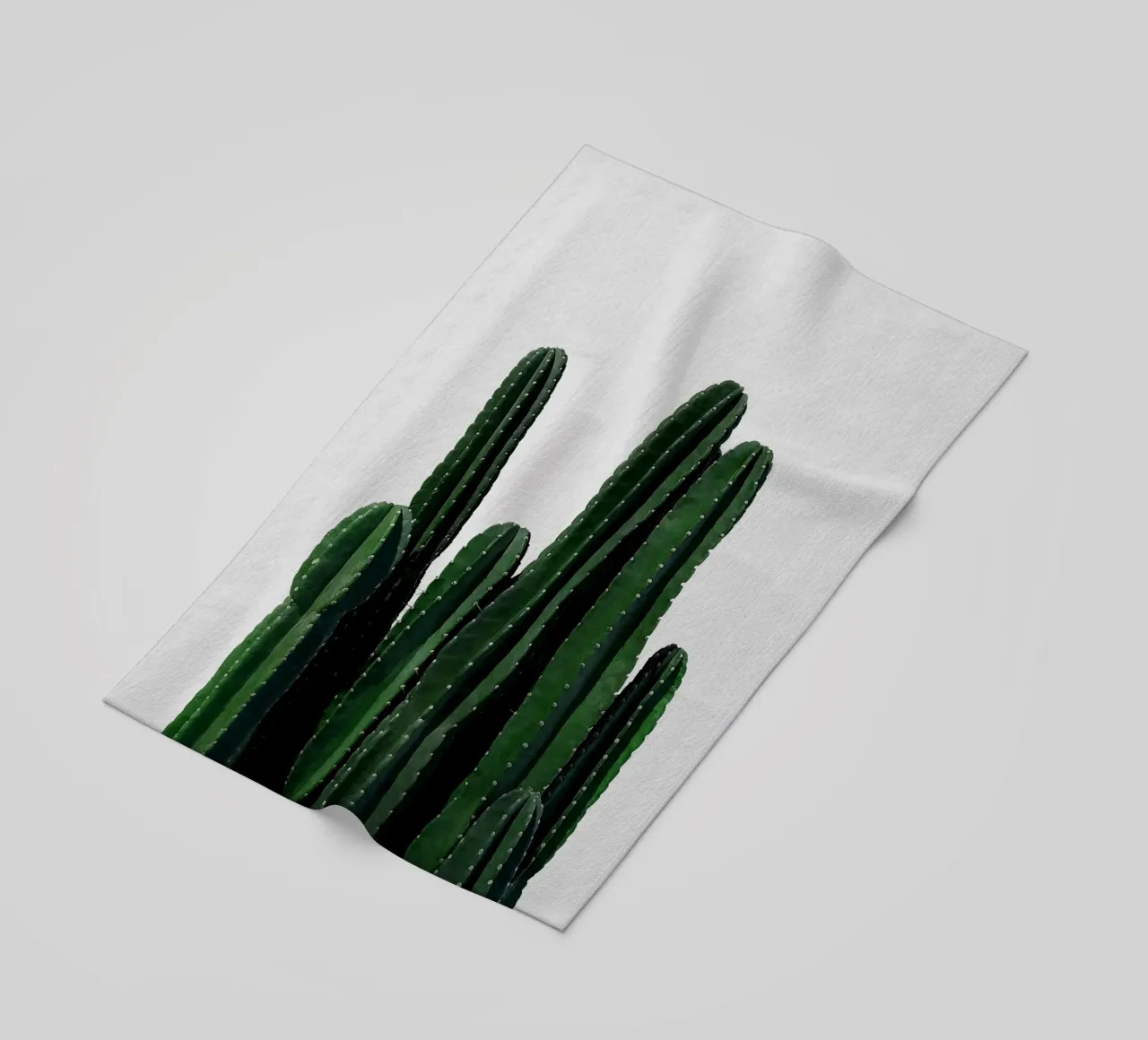 Cactus I telo mare da Orara Studio