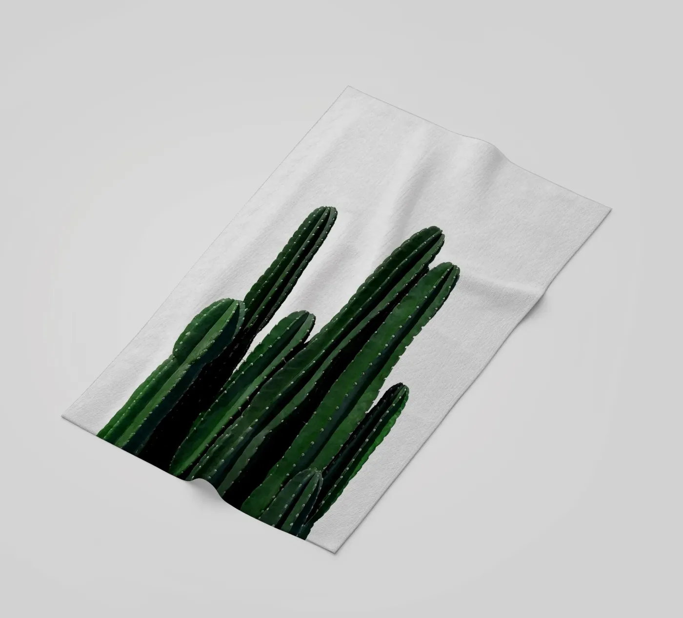 Cactus I telo mare da Orara Studio