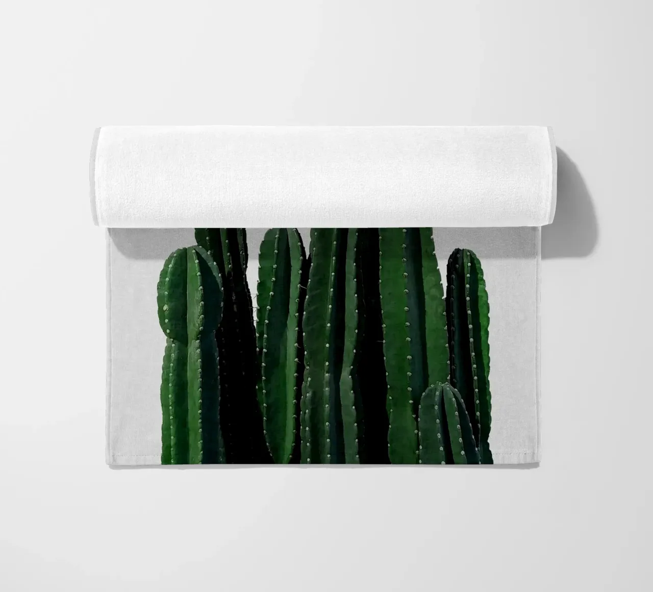 Cactus I telo mare da Orara Studio