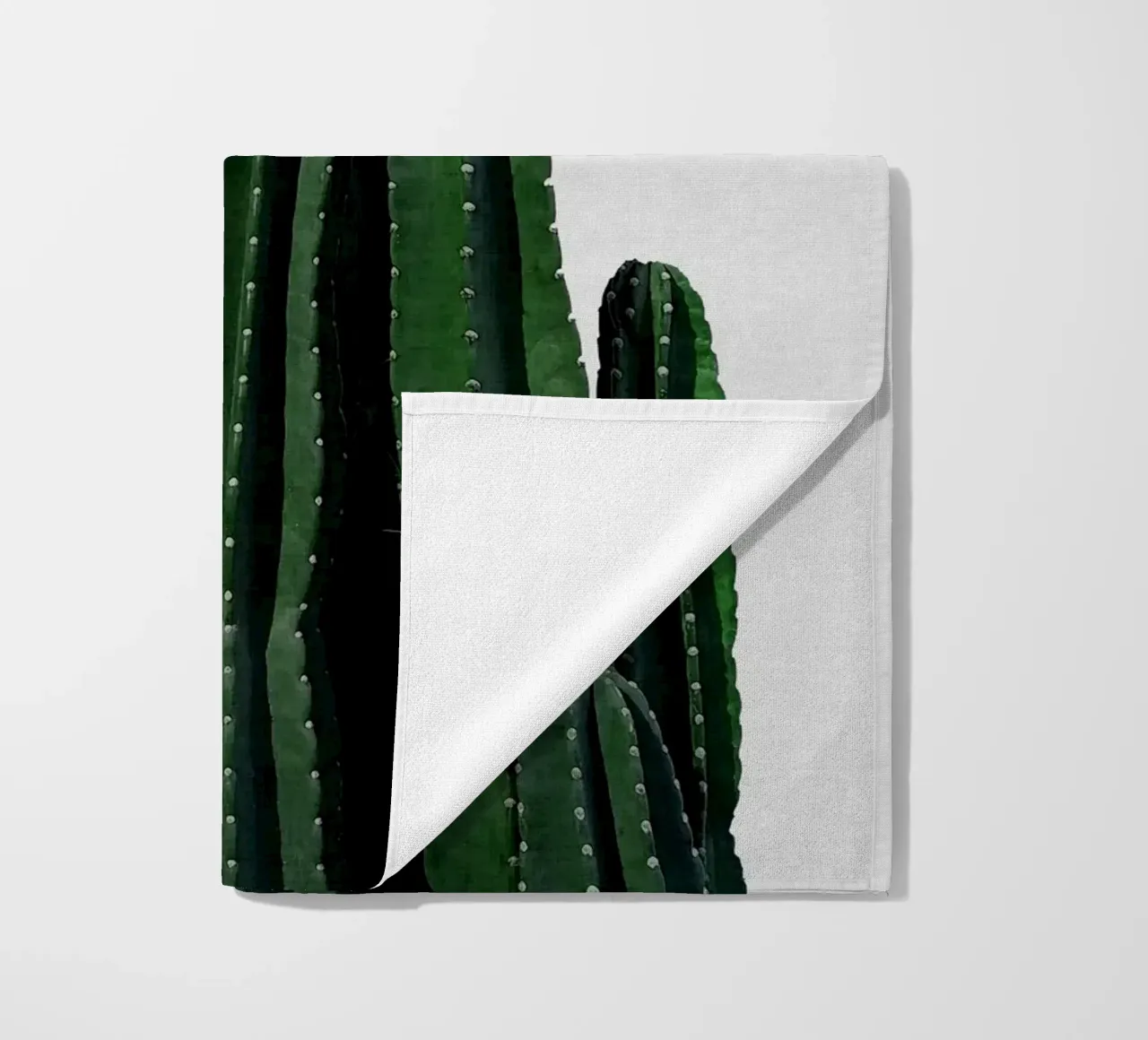 Cactus I telo mare da Orara Studio