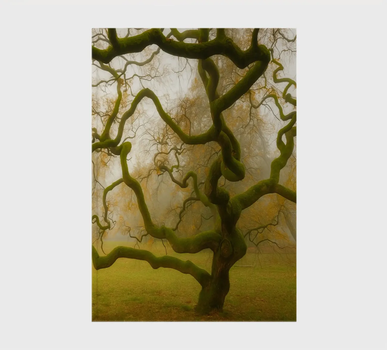 fibrous tree branches growing notebook by PASMING