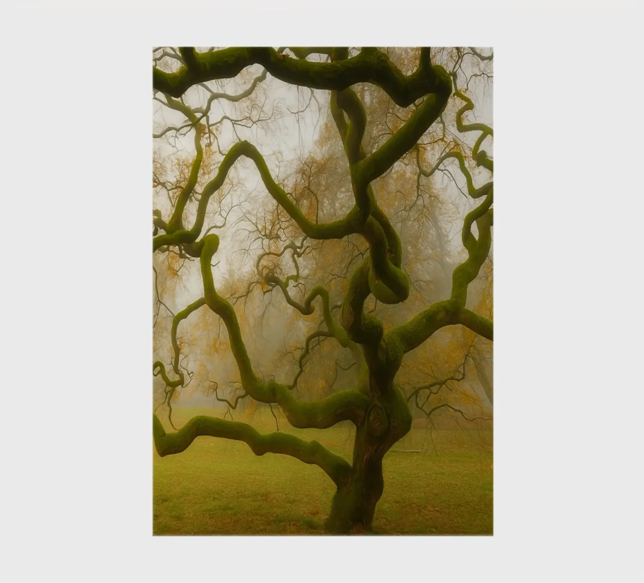 fibrous tree branches growing notebook by PASMING