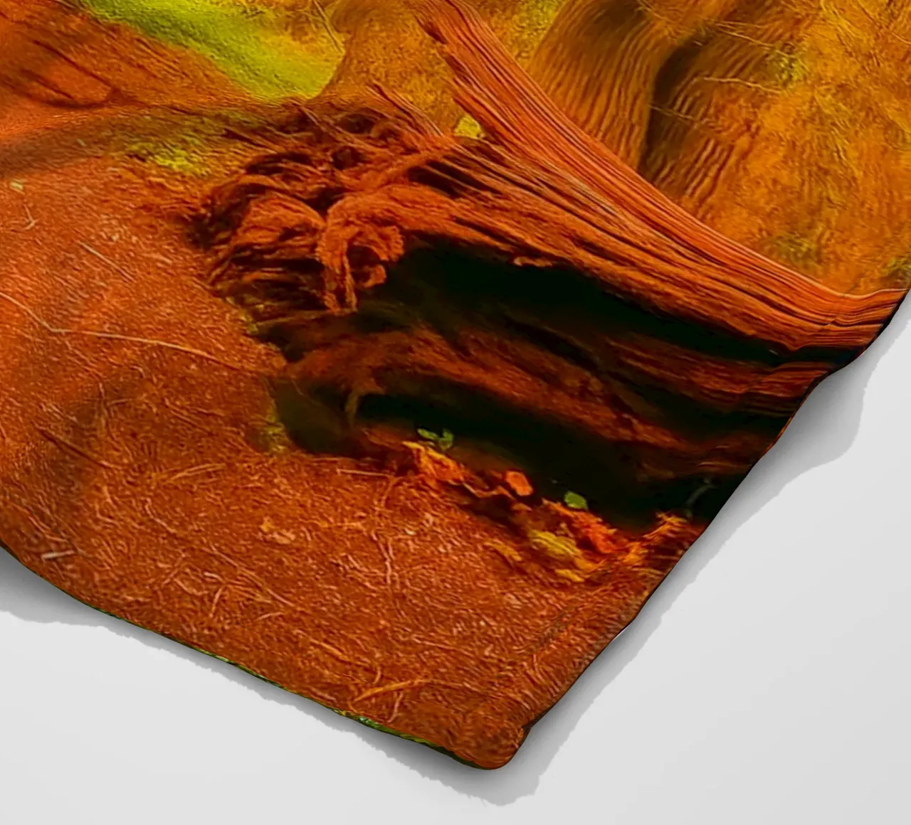 fallen tree split in two at the forest fleece blanket by PASMING