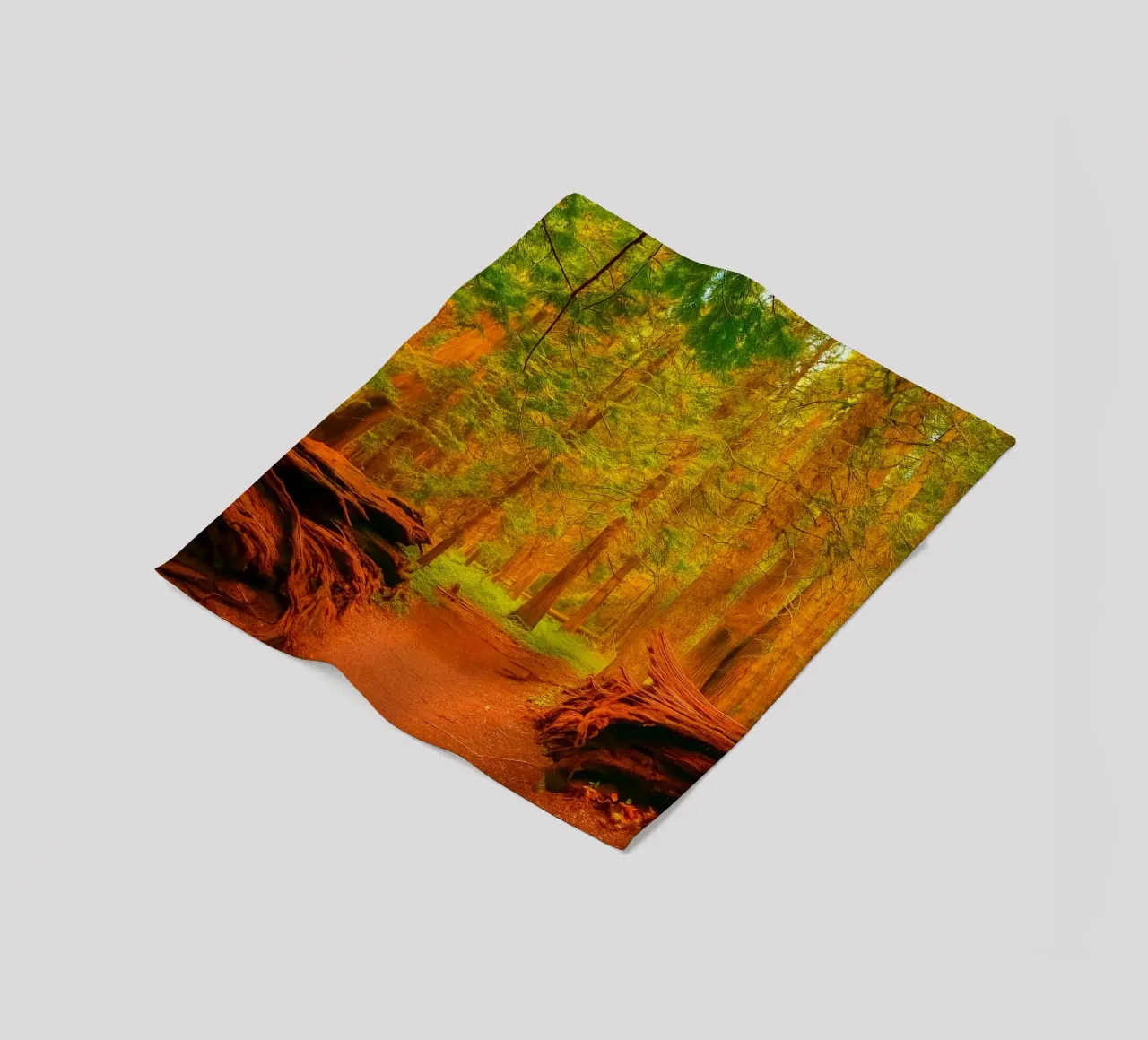 fallen tree split in two at the forest fleece blanket by PASMING