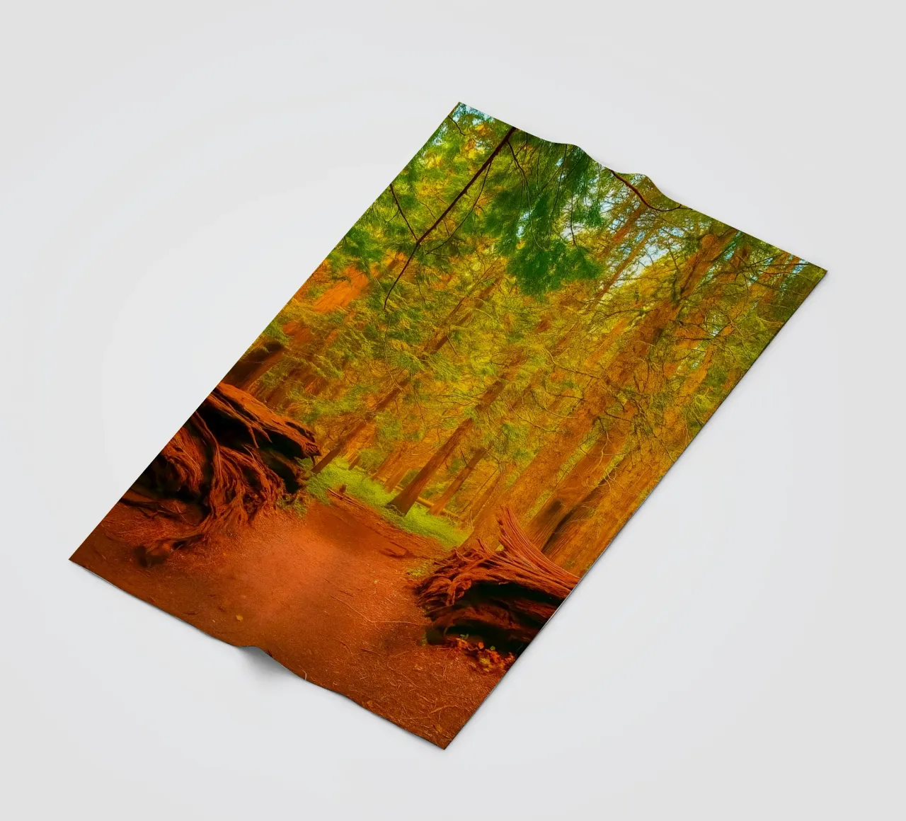 fallen tree split in two at the forest fleece blanket by PASMING