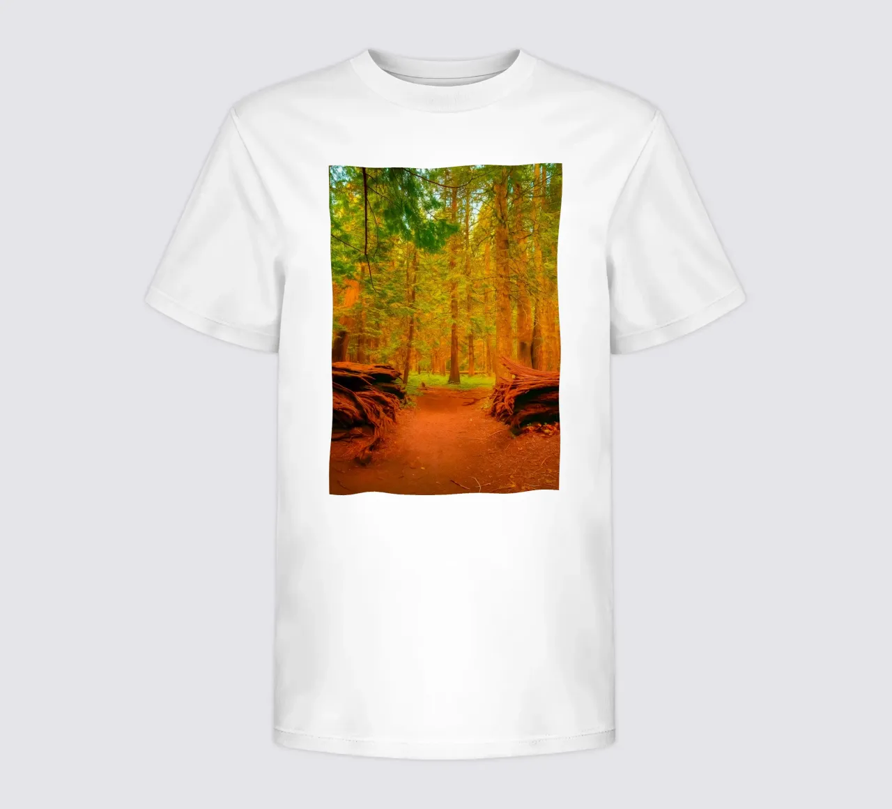 albero caduto diviso in due nel bosco t-shirt bambini da PASMING