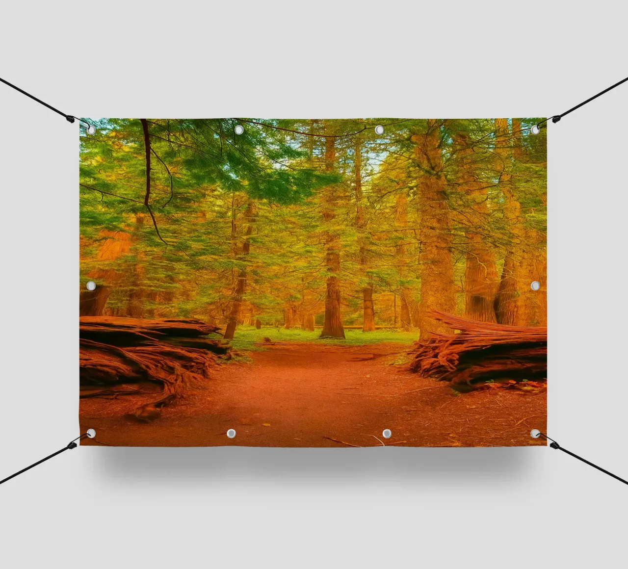 albero caduto diviso in due nel bosco telo in pvc da PASMING