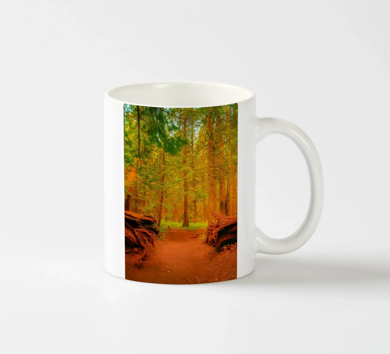 albero caduto diviso in due nel bosco tazza in ceramica da PASMING