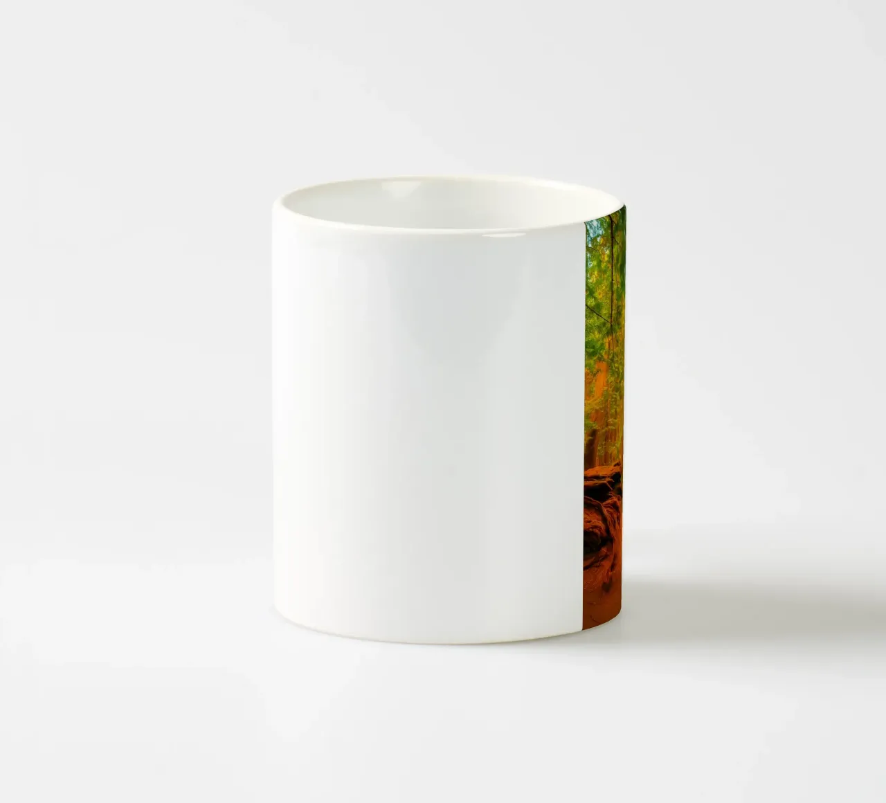 albero caduto diviso in due nel bosco tazza in ceramica da PASMING