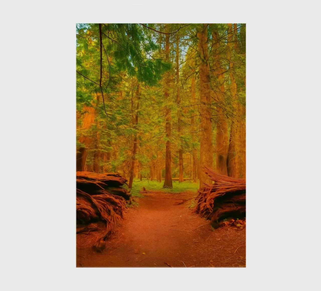 fallen tree split in two at the forest notebook by PASMING