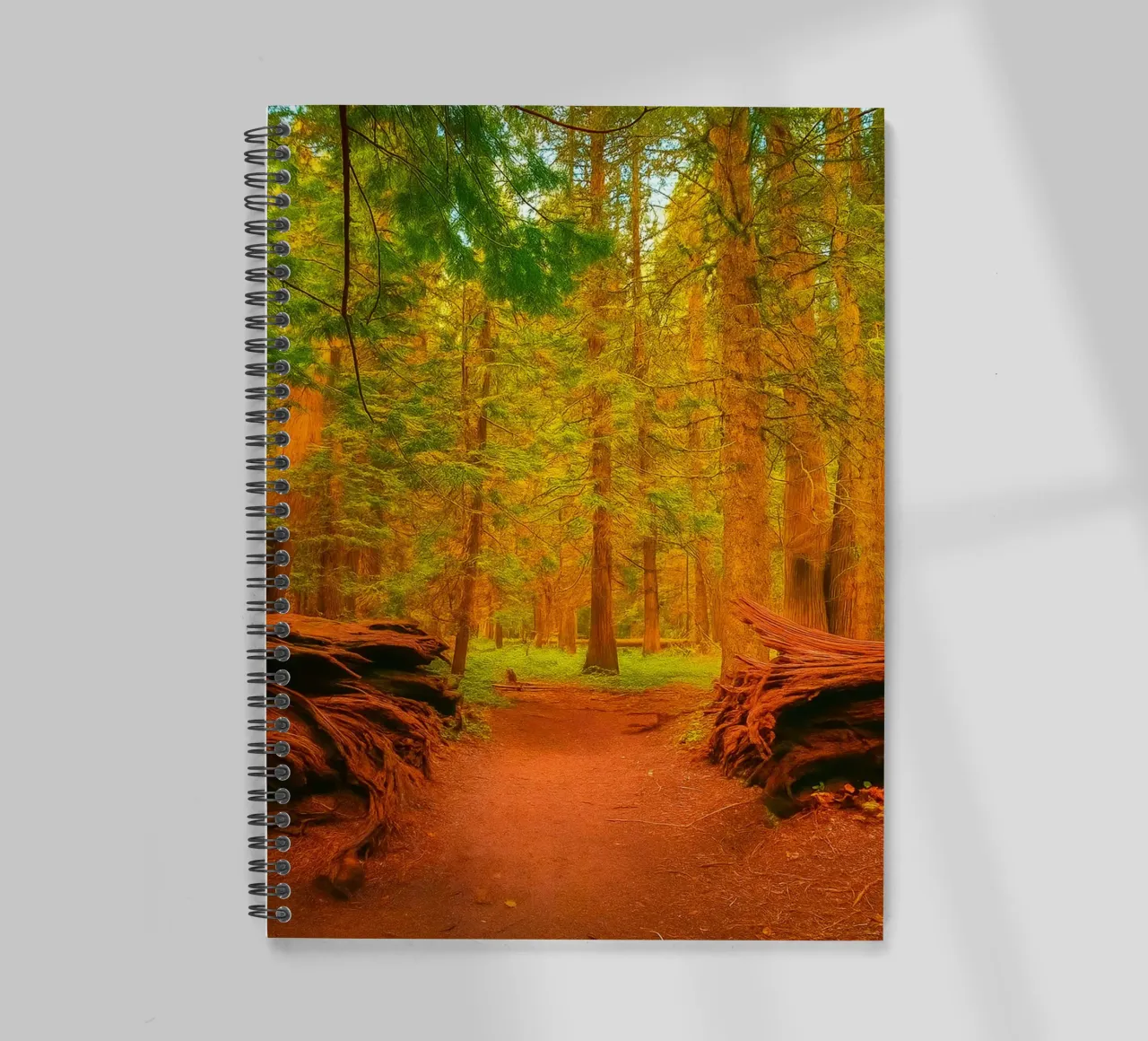 fallen tree split in two at the forest spiral notebook by PASMING