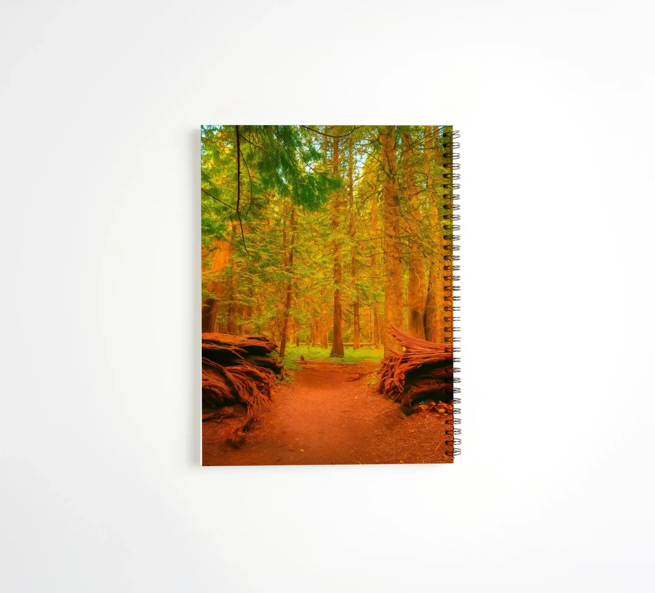 fallen tree split in two at the forest spiral notebook by PASMING