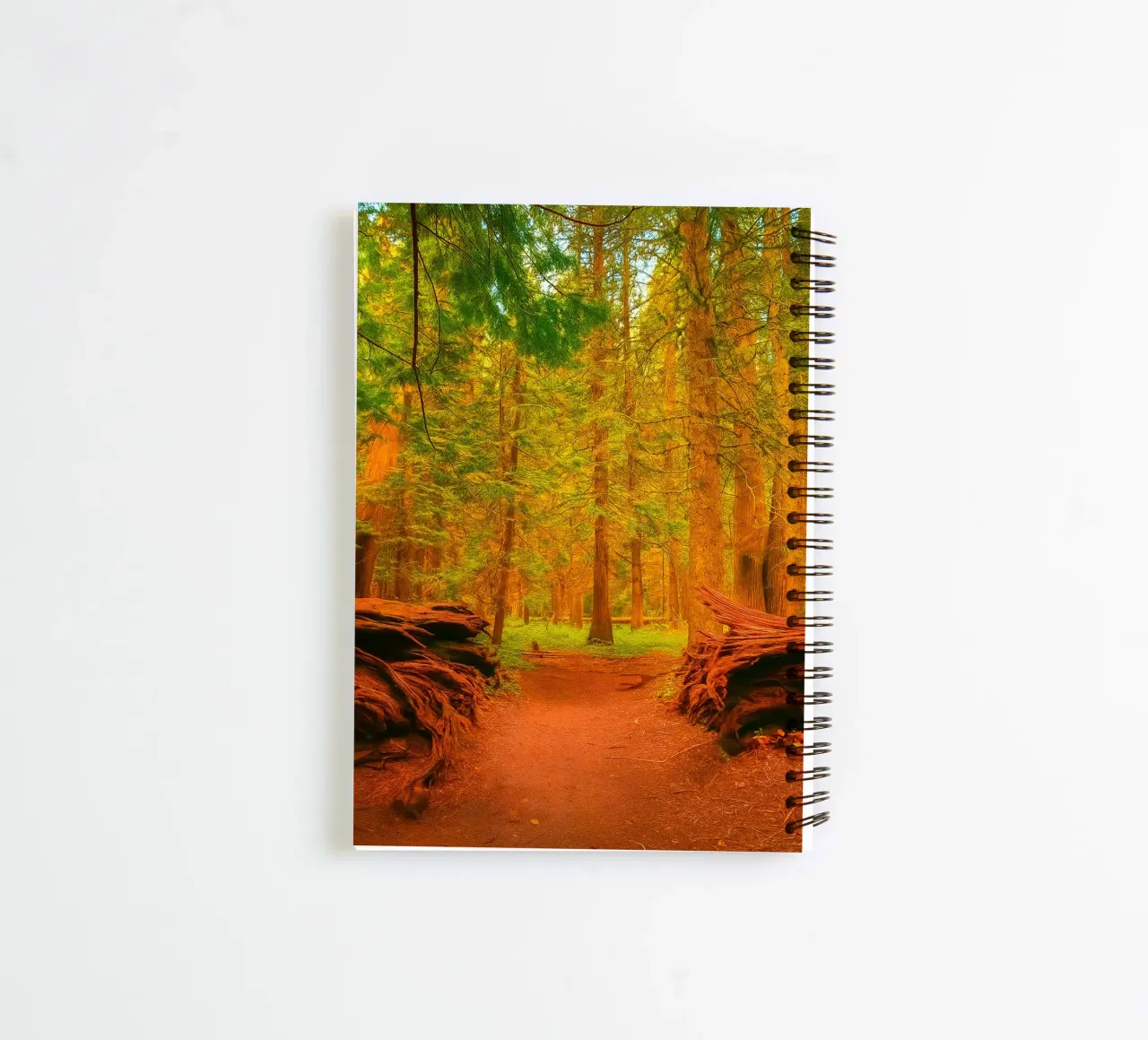 fallen tree split in two at the forest spiral notebook by PASMING