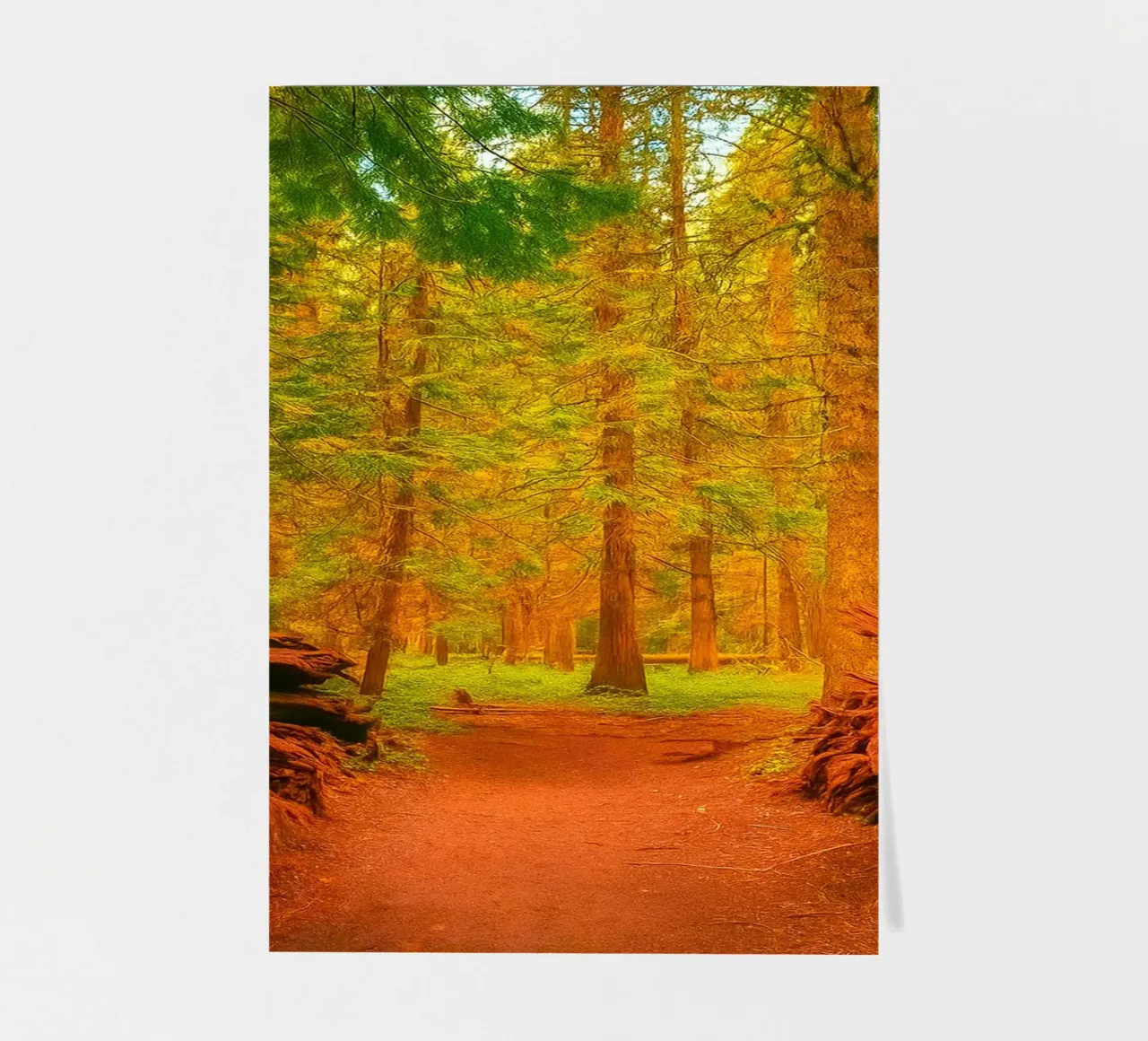 umgestürzter Baum im Wald in zwei Teile gespalten Stickerbogen von PASMING