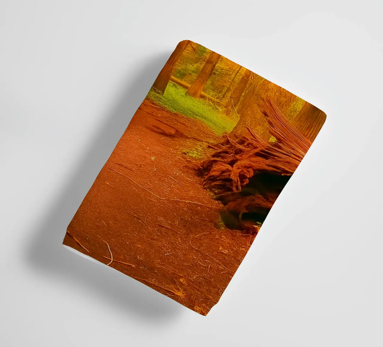 albero caduto diviso in due nel bosco asciugamano da bagno da PASMING