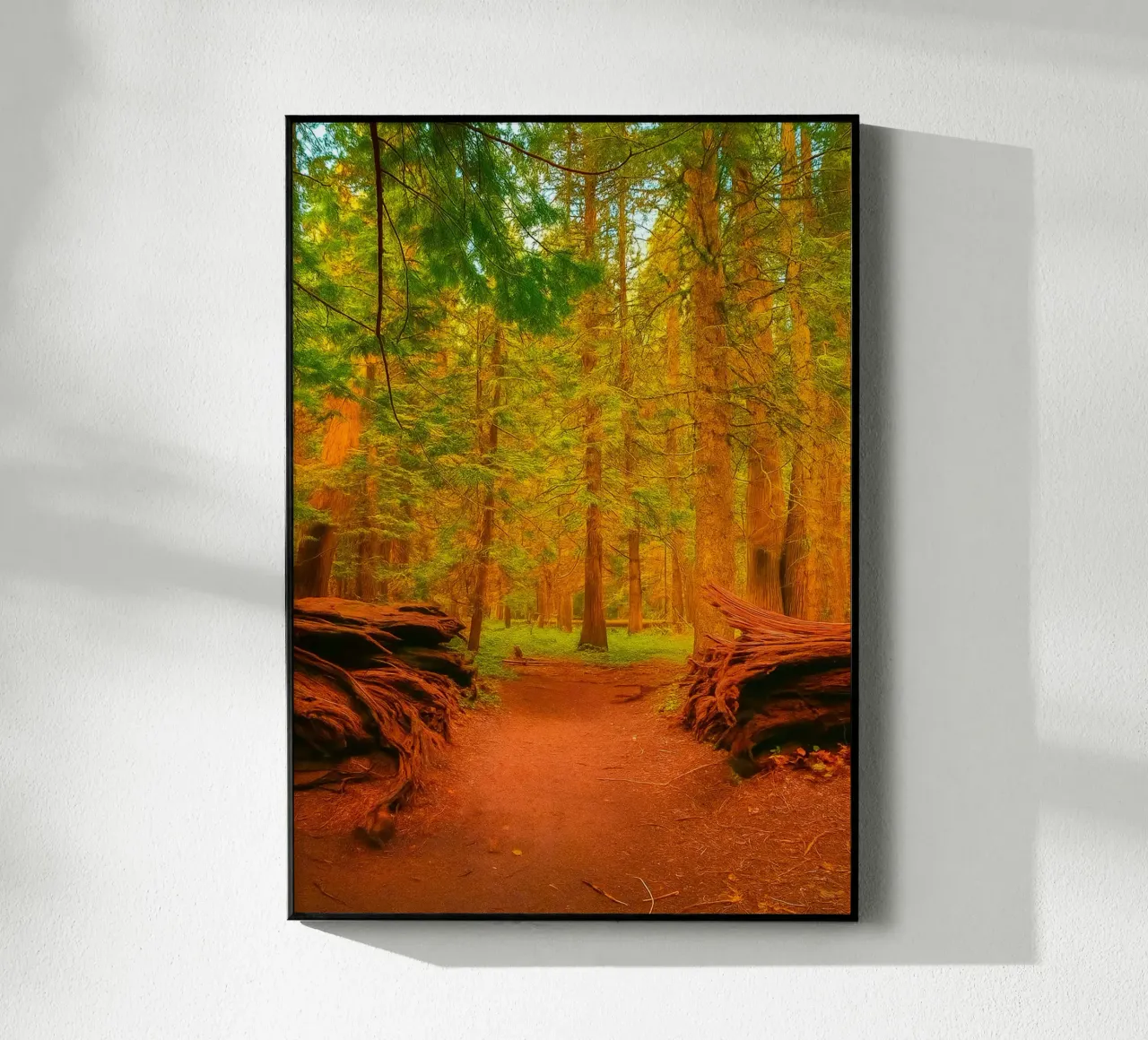 albero caduto diviso in due nel bosco plexiglass da PASMING