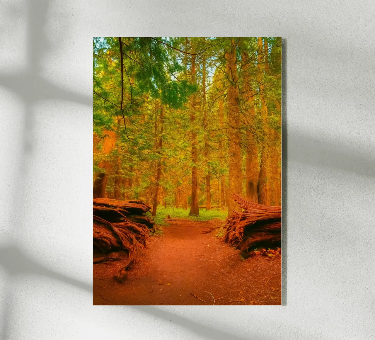 fallen tree split in two at the forest acrylic glass by PASMING