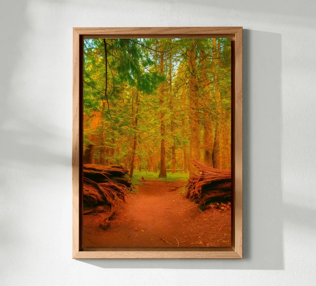 albero caduto diviso in due nel bosco pannello forex da PASMING