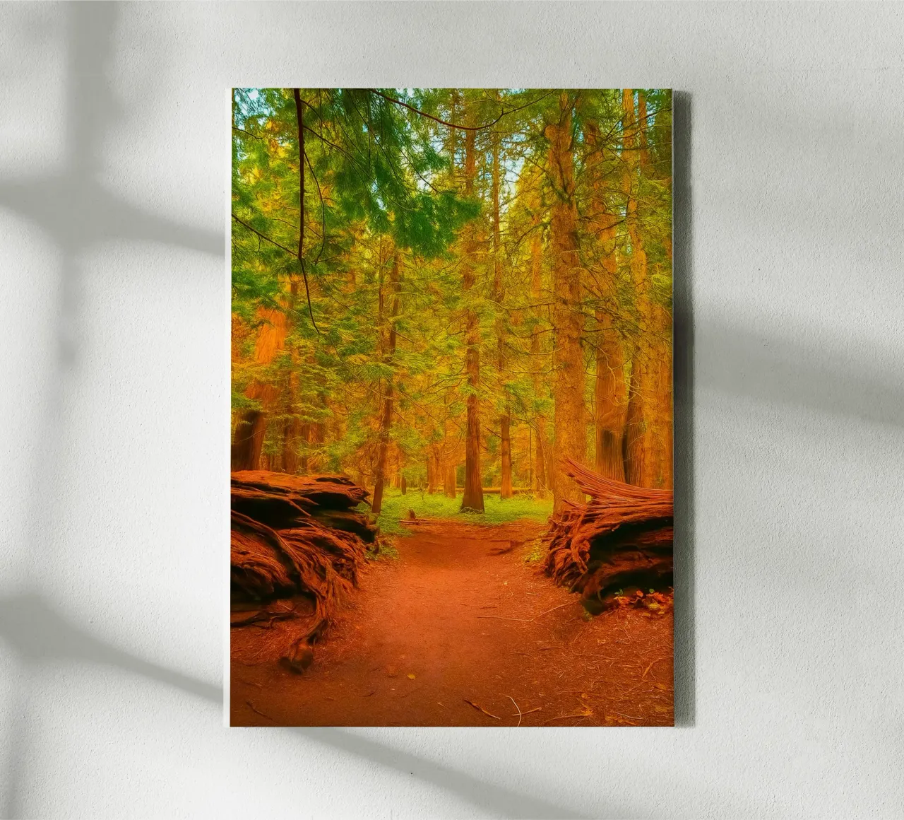 fallen tree split in two at the forest canvas by PASMING