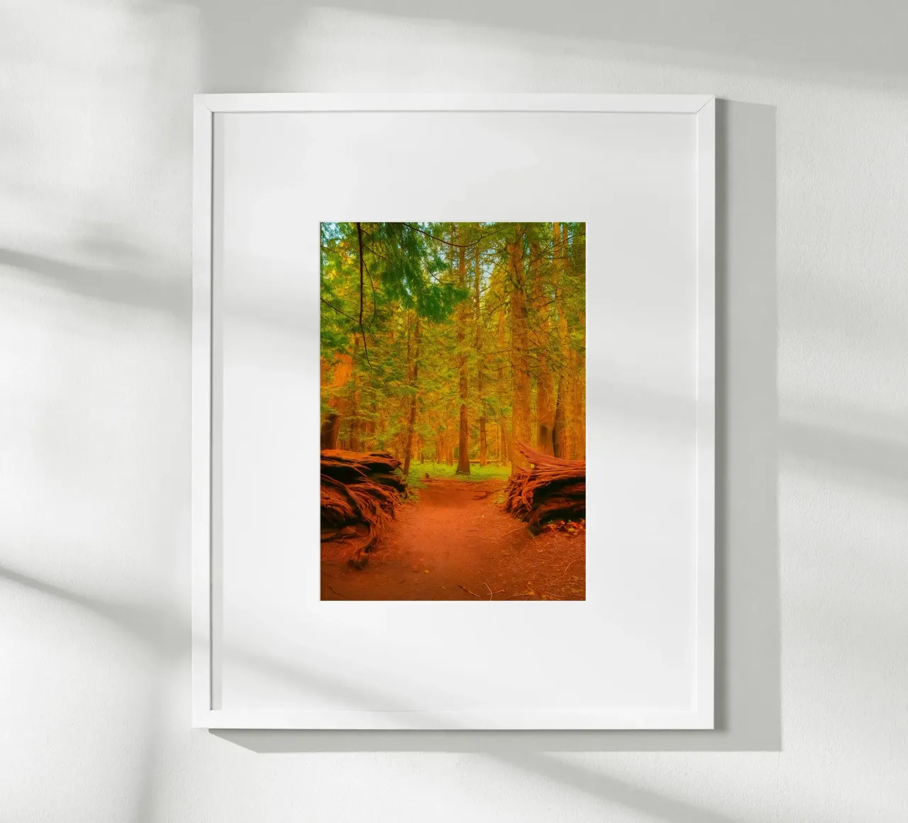 albero caduto diviso in due nel bosco carta hahnemühle da PASMING