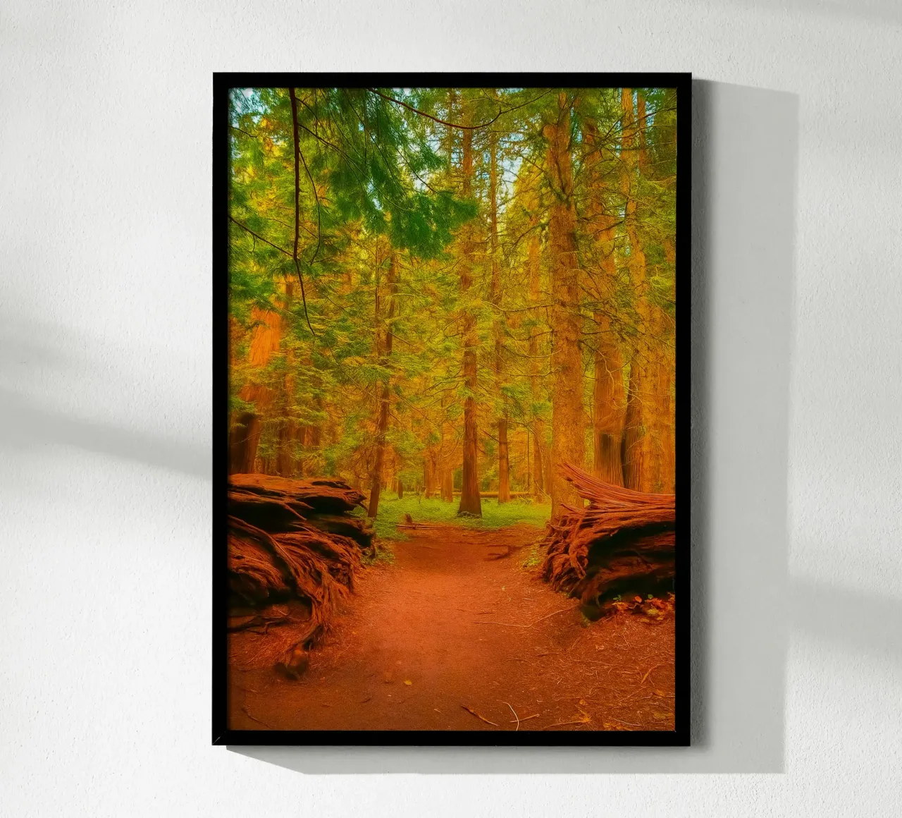 albero caduto diviso in due nel bosco carta hahnemühle da PASMING