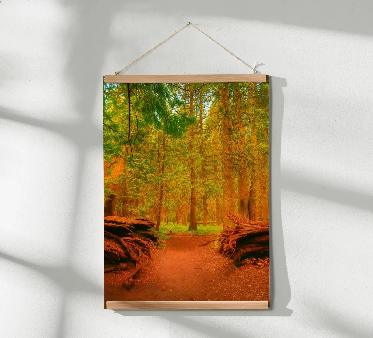 albero caduto diviso in due nel bosco carta hahnemühle da PASMING