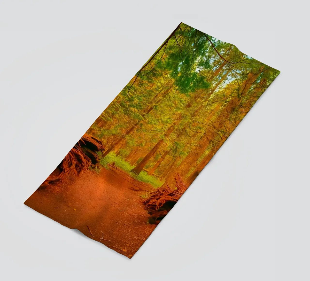 fallen tree split in two at the forest beach towel by PASMING