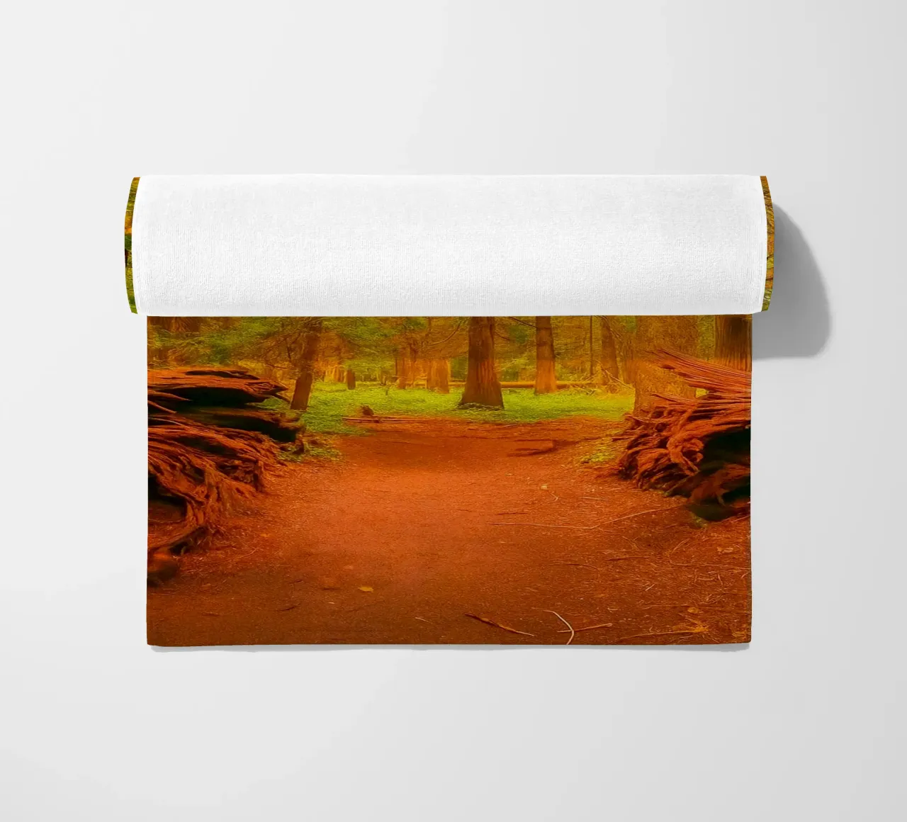 fallen tree split in two at the forest beach towel by PASMING