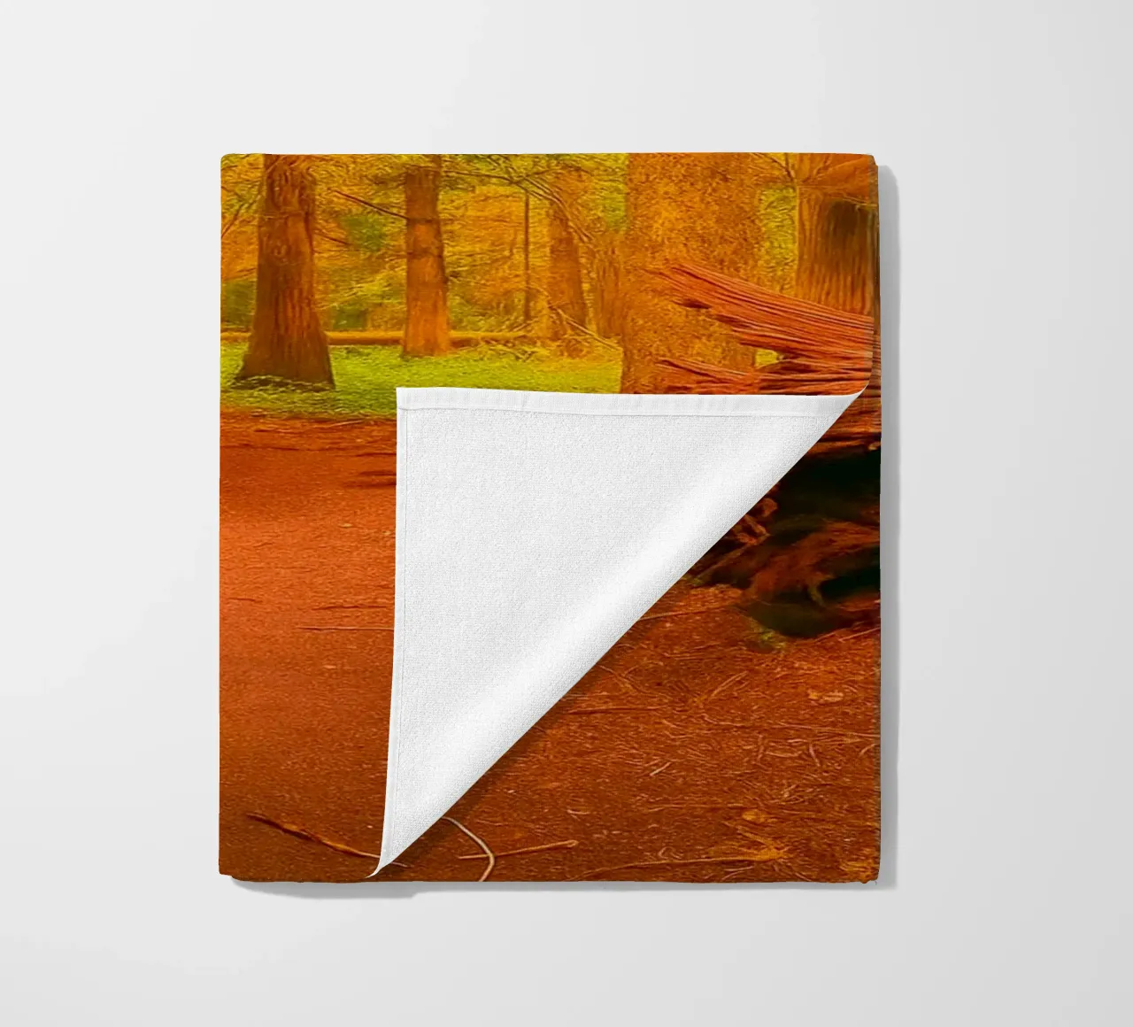 fallen tree split in two at the forest beach towel by PASMING