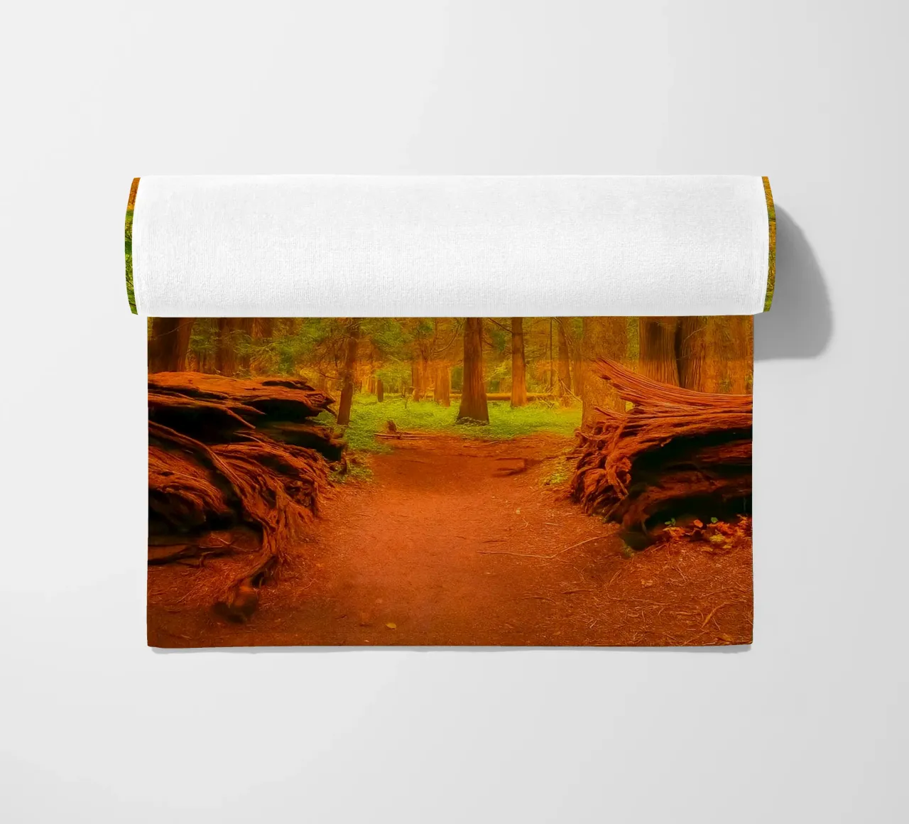fallen tree split in two at the forest beach towel by PASMING