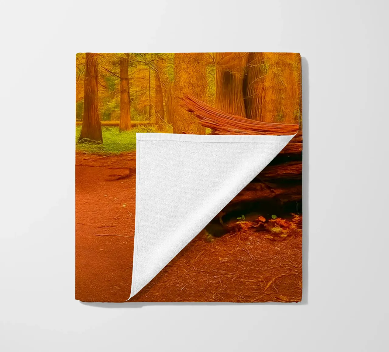 fallen tree split in two at the forest beach towel by PASMING