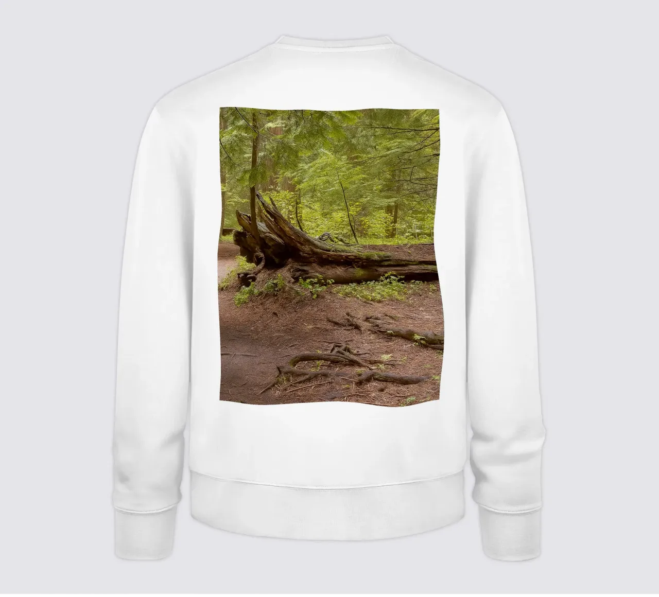 alberi marci caduti felpa da PASMING