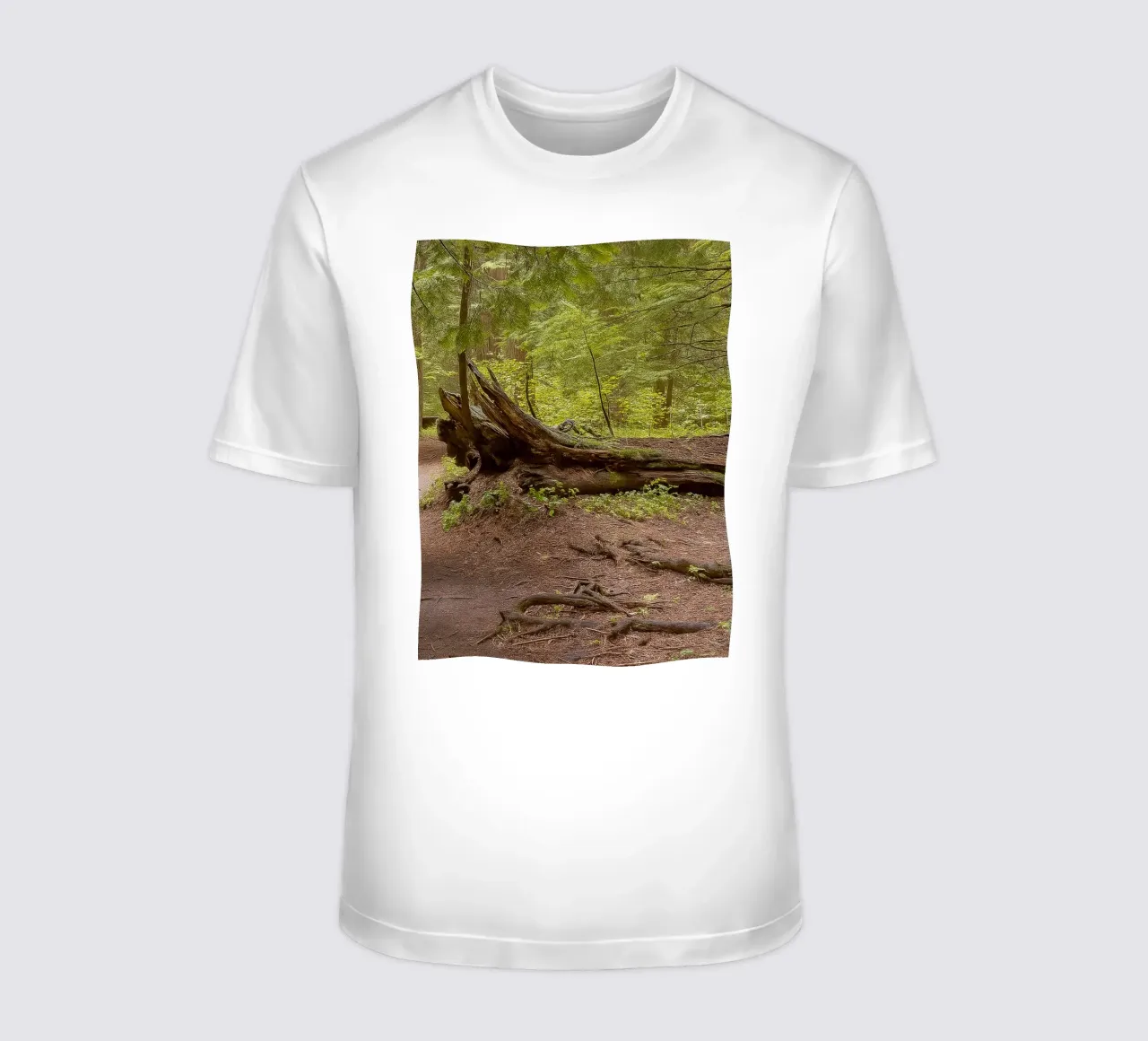 alberi marci caduti t-shirt da PASMING