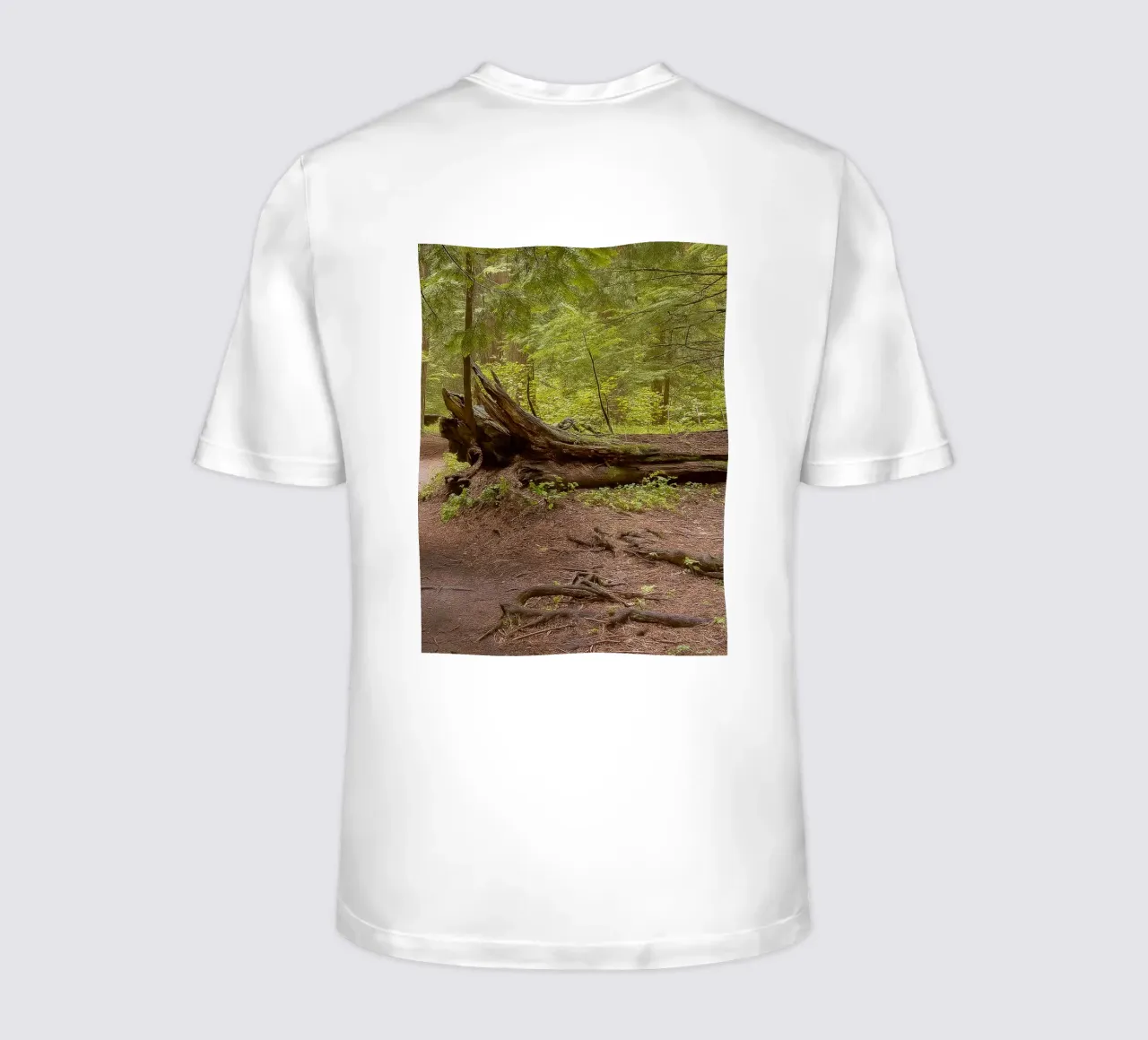 alberi marci caduti t-shirt da PASMING