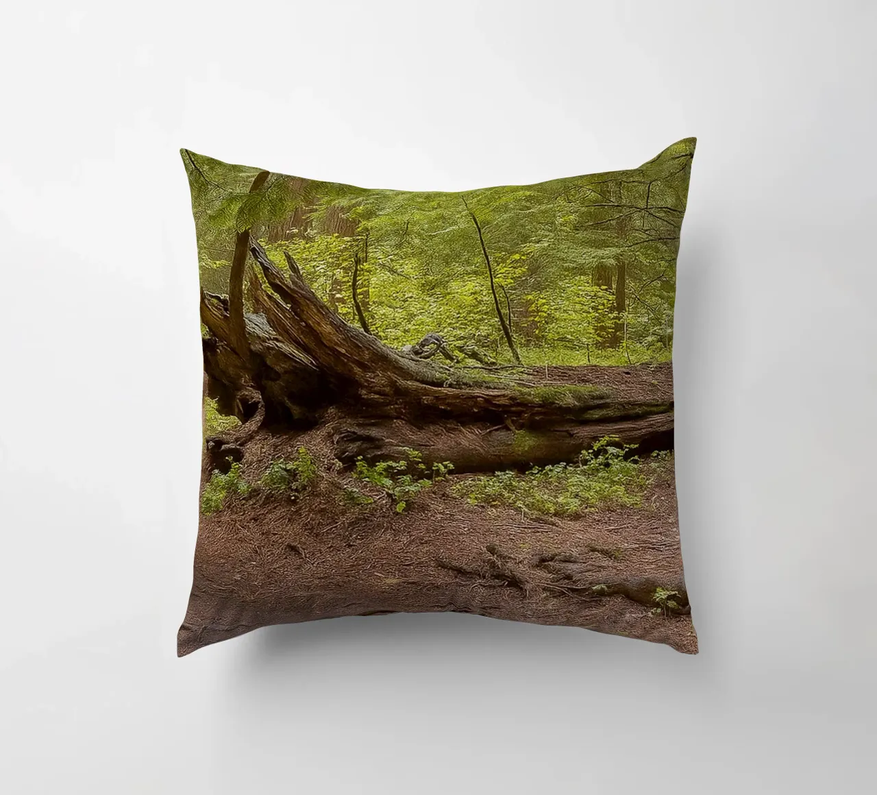 alberi marci caduti cuscino da PASMING
