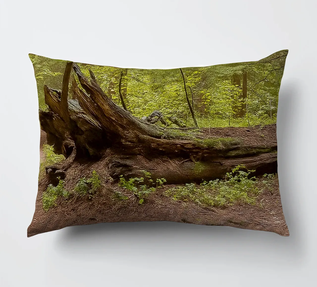 alberi marci caduti cuscino da PASMING