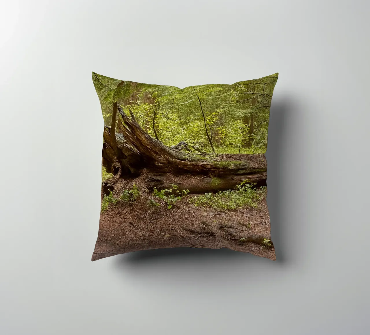 alberi marci caduti cuscino da PASMING