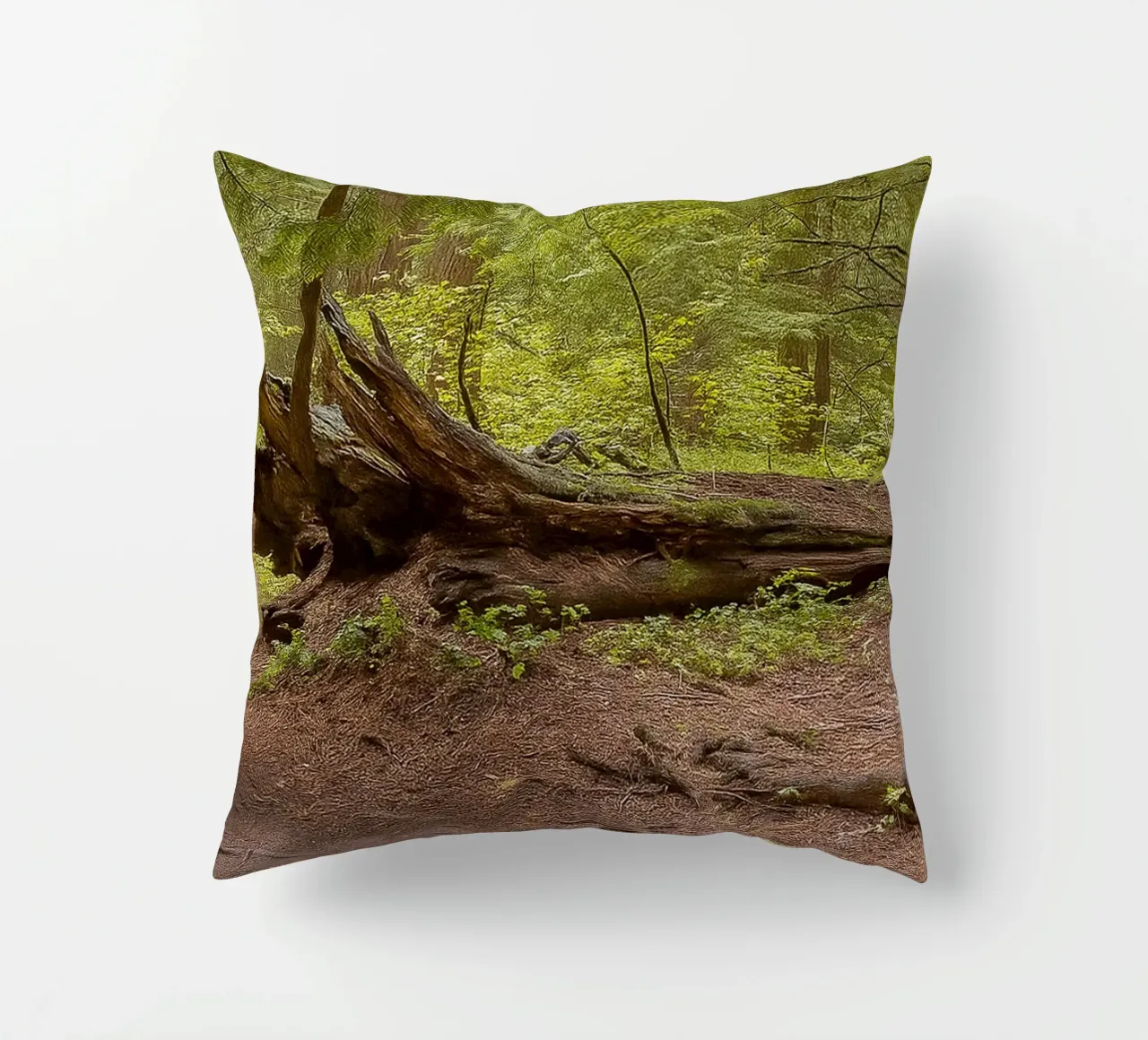 alberi marci caduti cuscino da PASMING